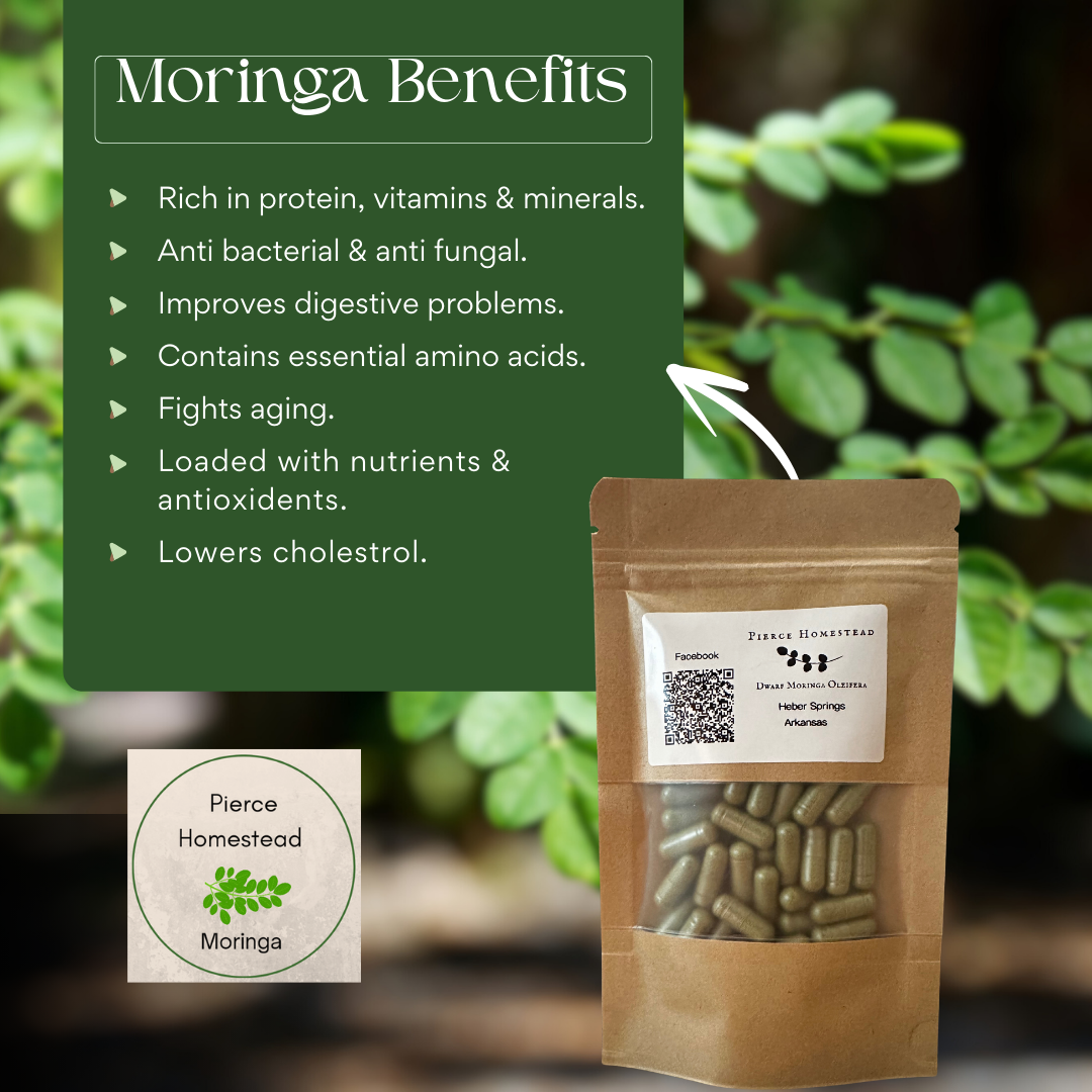 Moringa Capsules – 60 Capsules (30-Day Supply)