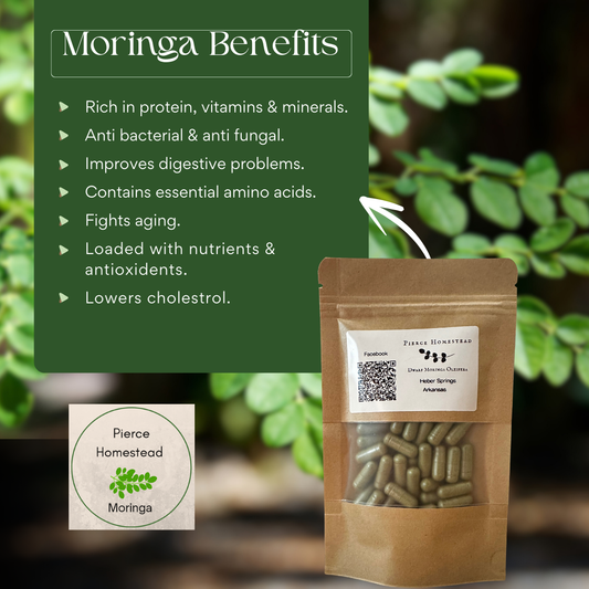 Moringa Capsules – 60 Capsules (30-Day Supply)